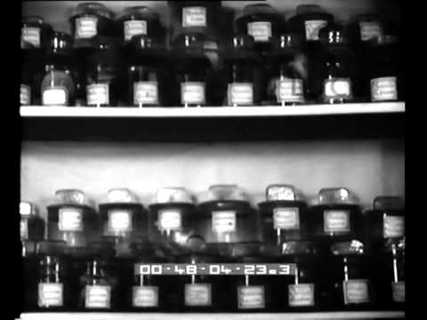 The operations to verify the non-poisonousness of mushrooms before they are released on the market