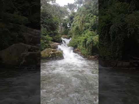 🔴 Bate e Volta - Gonçalves - MG.