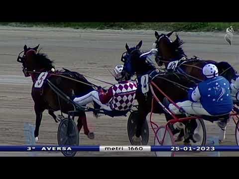 Aversa trotto 25 Gennaio 2023 - 3° Corsa