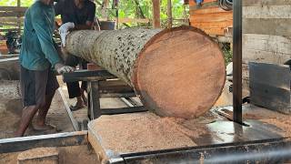 Tutorial on Cutting 10x10 Coconut Wood with a Sawmill Machine