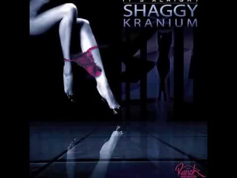 Shaggy Ft Kranium   Its Alright