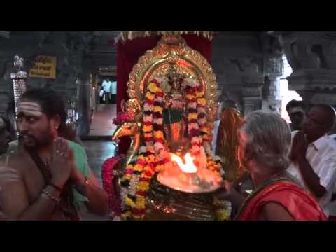 Palani Hill Temple Utsavar   Golden Peacock Vahana