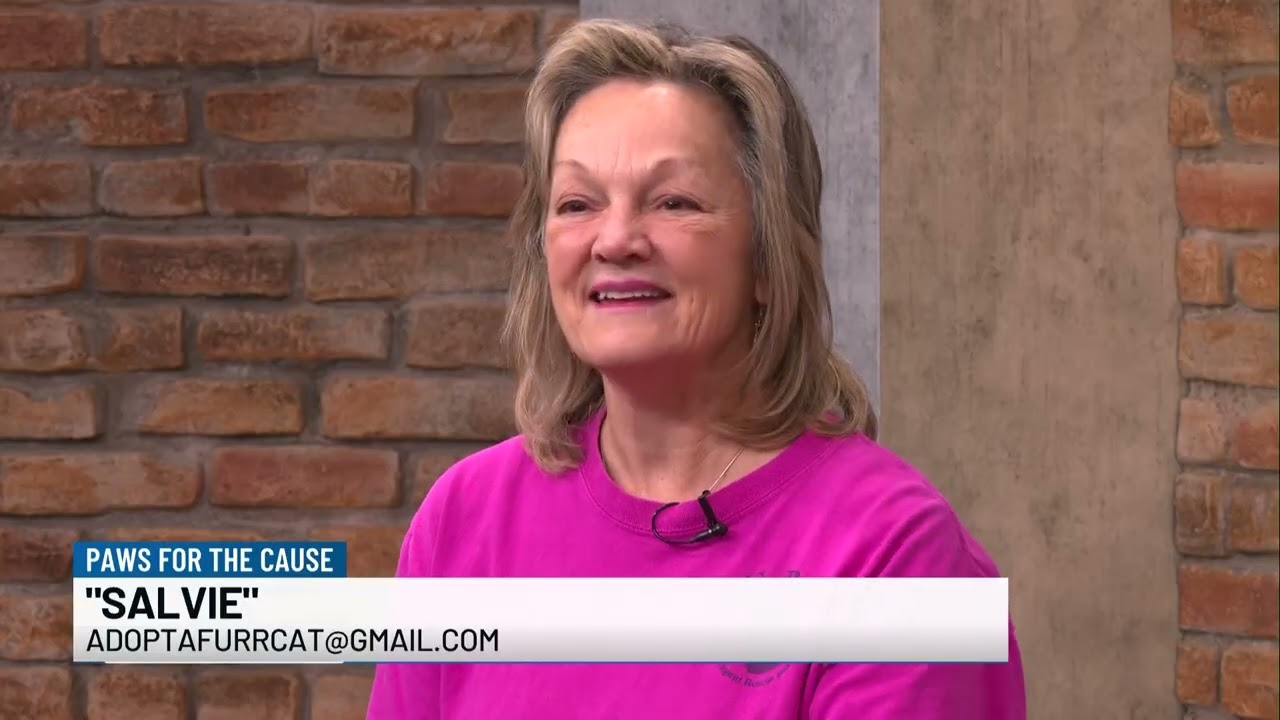 Enlarge Salvie, a ADOPTABLE mixed breed in Hampstead, NC video 2/3