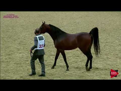 N.320 GAZWAN AL NASSER - 21st Qatar National 2018