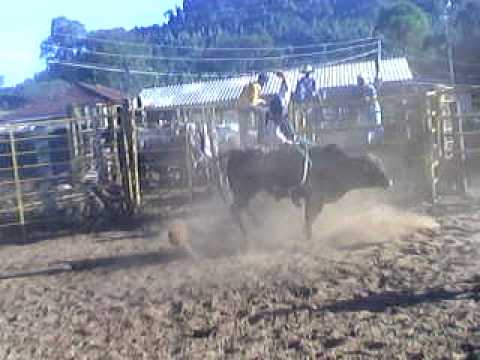 Tulio favaretto vs campari