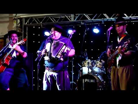 Clip PATAÇO DE AVESTRUZ