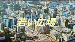 若い広場 / 桑田佳祐 歌ってみました