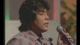 LOS CHUNGUITOS REJAS GRANDES EXITOS