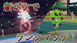 炎ケンタロスで環境に蔓延るキノガッサをメタれるぞ！対戦動画【ポケモンSV】
