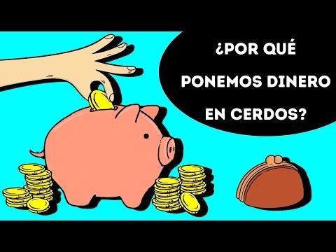 14 Respuestas Interesantes a Preguntas Sobre Muchas Cosas