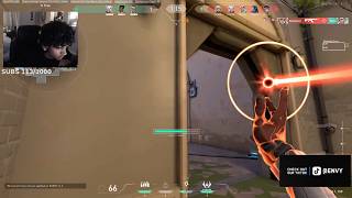 ENVY ion Phoenix Ascent RADIANT RANKED