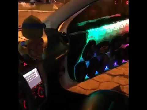 SAVEIRO VISTEON TODA NO ACRÍLICO TOCANDO HOUSE