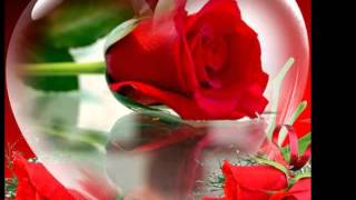 ♥ Verlieben, verloren, gelacht und geweint ♥ ( Beatrice Egli )