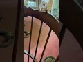 Antique 1700’s Rocker