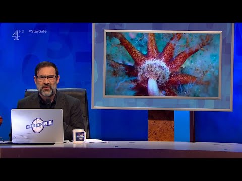 Adam Buxton's nature DJ (8 Out of 10 Cats Does Countdown S20E03 - 14 August 2020)