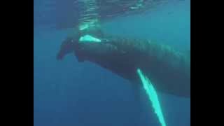 The The ~ Slow Emotion Replay