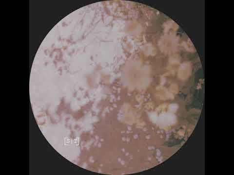 MNMT Premiere: Noah Lyas – Reflections V