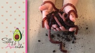 How to Make Halloween Gummy Jello Worms in Oreo Dirt ❤ Yummy!