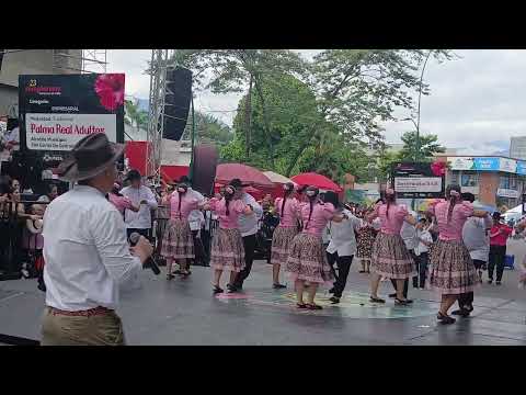 Alcaldía de San Carlos de Guaroa (Meta) ║ JOROPÓDROMO 56° Torneo Internacional del Joropo 2024