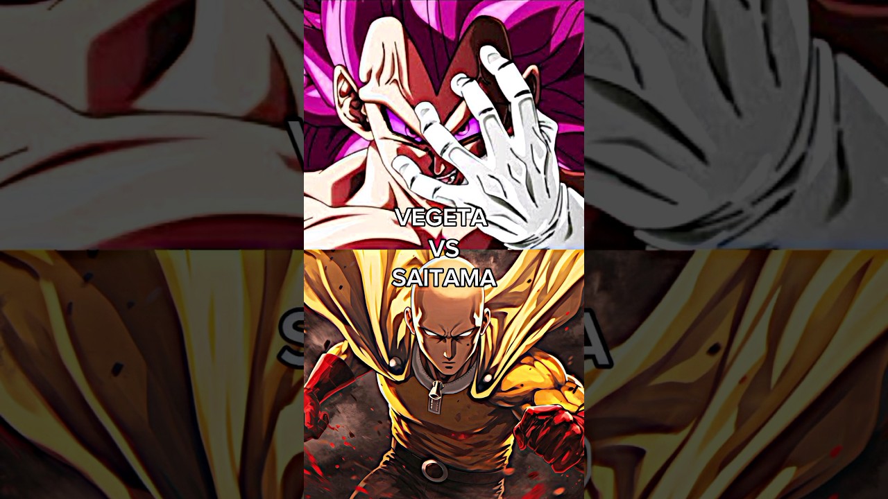 VEGETA VS SAITAMA