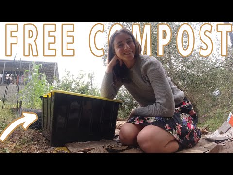 Starting my First Compost Pile - Can't Believe it Took this Long