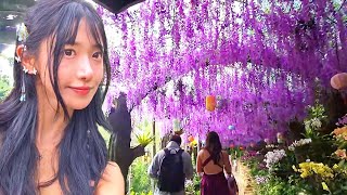 中国独特的热带天堂！