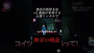 【⬇️本編はコチラ⬇️】無音検証中にとんでもない出来事