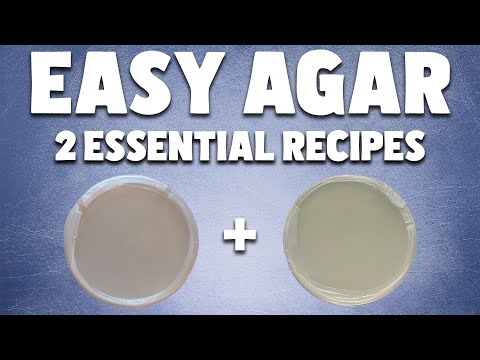 How to Make Agar Plates for Mushroom Mycelium | 2 ESSENTIAL Agar Recipes for Mycology