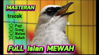 Download lagu Trucuk gacor ropel panjang full isian super ampuh buat pancingan trucuk agar cepat GACOR (005) mp3