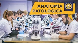 Grado Superior en Anatomía Patológica y Citodiagnóstico