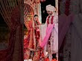 Hansika Motwani Marriage Hansika Motwani Wedding Video Hansika Motwani Marriage Photos Shorts