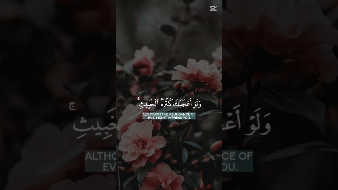 فاتقوا الله يا أولو الألباب ❤️ تلاوة روحانية جميلة خاشعة ❤️ #قران_كريم