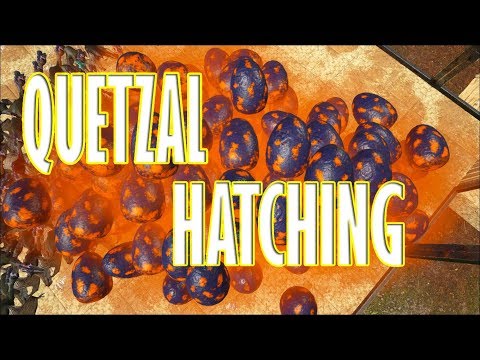 QUETZAL MUTATIONS// 1K EGGS!!!// FULLY MUTATED!!