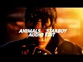 Animals X Starboy Maroon 5 The Weeknd Audio Edit