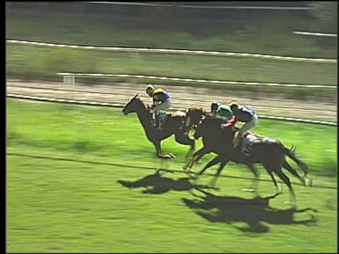 Galoppo 06/08/2016 - 4° corsa