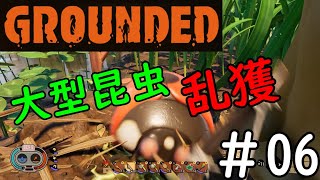 【#06】Grounded【初見実況プレイ】