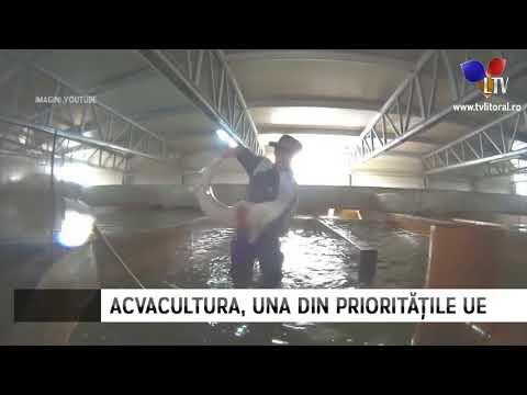 , title : 'Fonduri europene pentru acvacultură - Litoral TV'