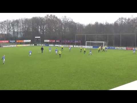 Samenvatting OZC WVF