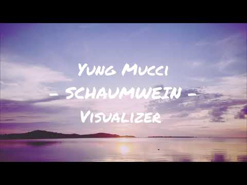 YUNG MUCCI - SCHAUMWEIN (Visualizer)
