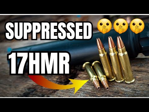 What Does Suppressed 17HMR Sound Like??? [Banish 22 Can]