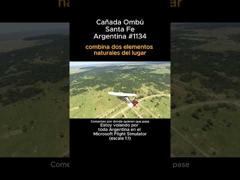 Cañada Ombu, Santa Fe desde el Microsoft Flight Simulator #cañadaombu #santafe #msfs #argentina
