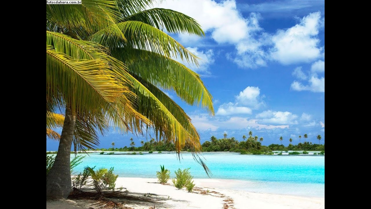 Apoiadores de Bolsonaro disparam ofensas a nordestinos por votos em Lula