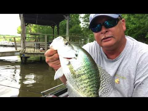 Crappie Fishing - SLAB FEST