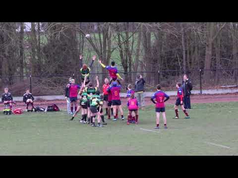 CSCE vs Dendermonde 18 01 2020 Highlights