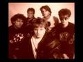 Snake Corps - This Is A Seagull (Audio)