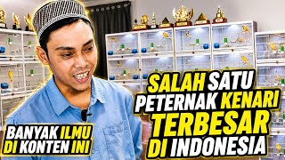 Download lagu CANARY BREEDERS‼️One of the LARGEST in INDONESIA... mp3 Download lagu CANARY BREEDERS‼️One of the LARGEST in INDONESIA... mp3