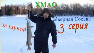 Северная сосьва все о рыбалке