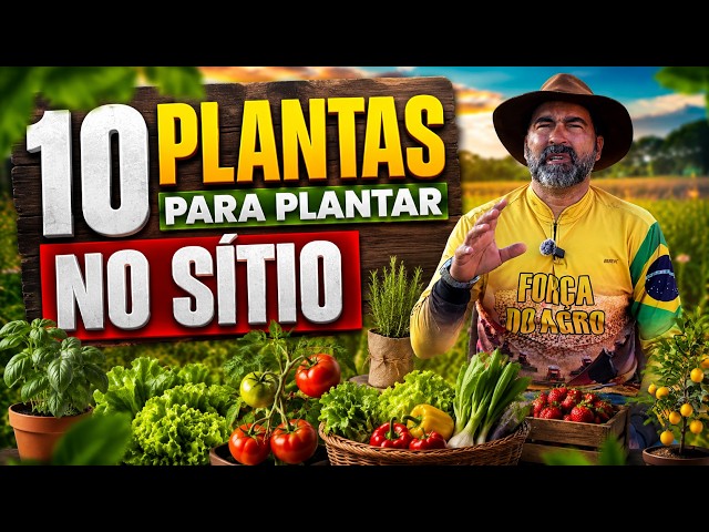 10 plantas para plantar no sítio.