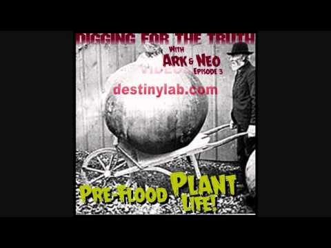Digging for the Truth with Ark and Neo #3 (Pre flood plants and giant pumpkins) 3/11/14