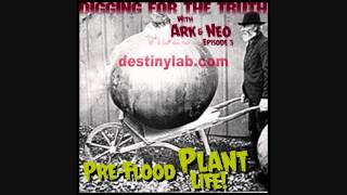 Digging for the Truth with Ark and Neo #3 (Pre flood plants and giant pumpkins) 3/11/14